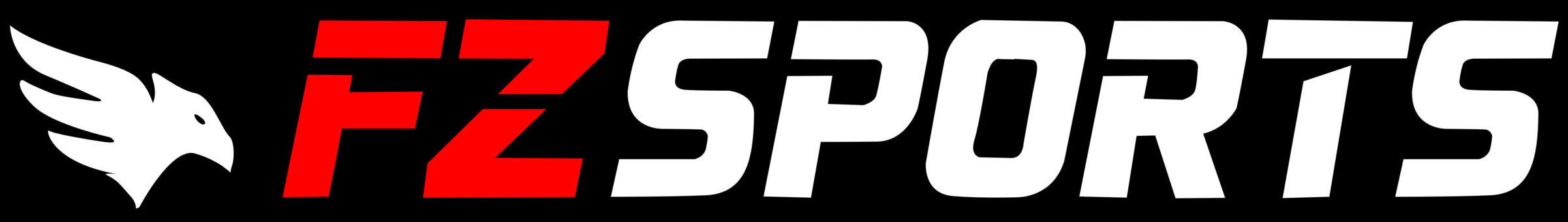 FZ SPORTS